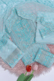LUXURY WEDDING & PARTY WEAR - 4